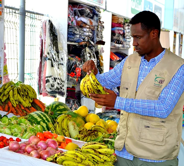 Micro-Finance
